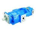 P300 Series Pumps and Motors
