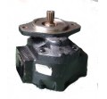 1900 Series Pumps